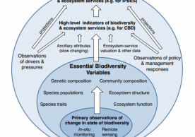 Essential Biodiversity Variables
