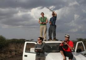 Deploying lightweight GPS tags on hornbills in East Africa