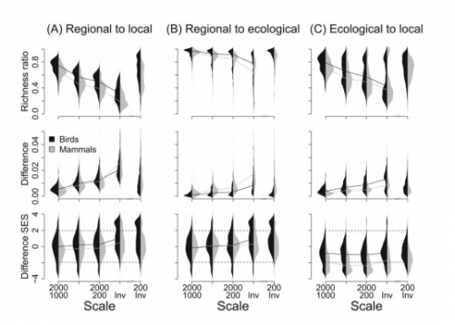 Spatial scaling of functional structure in bird and mammal assemblages